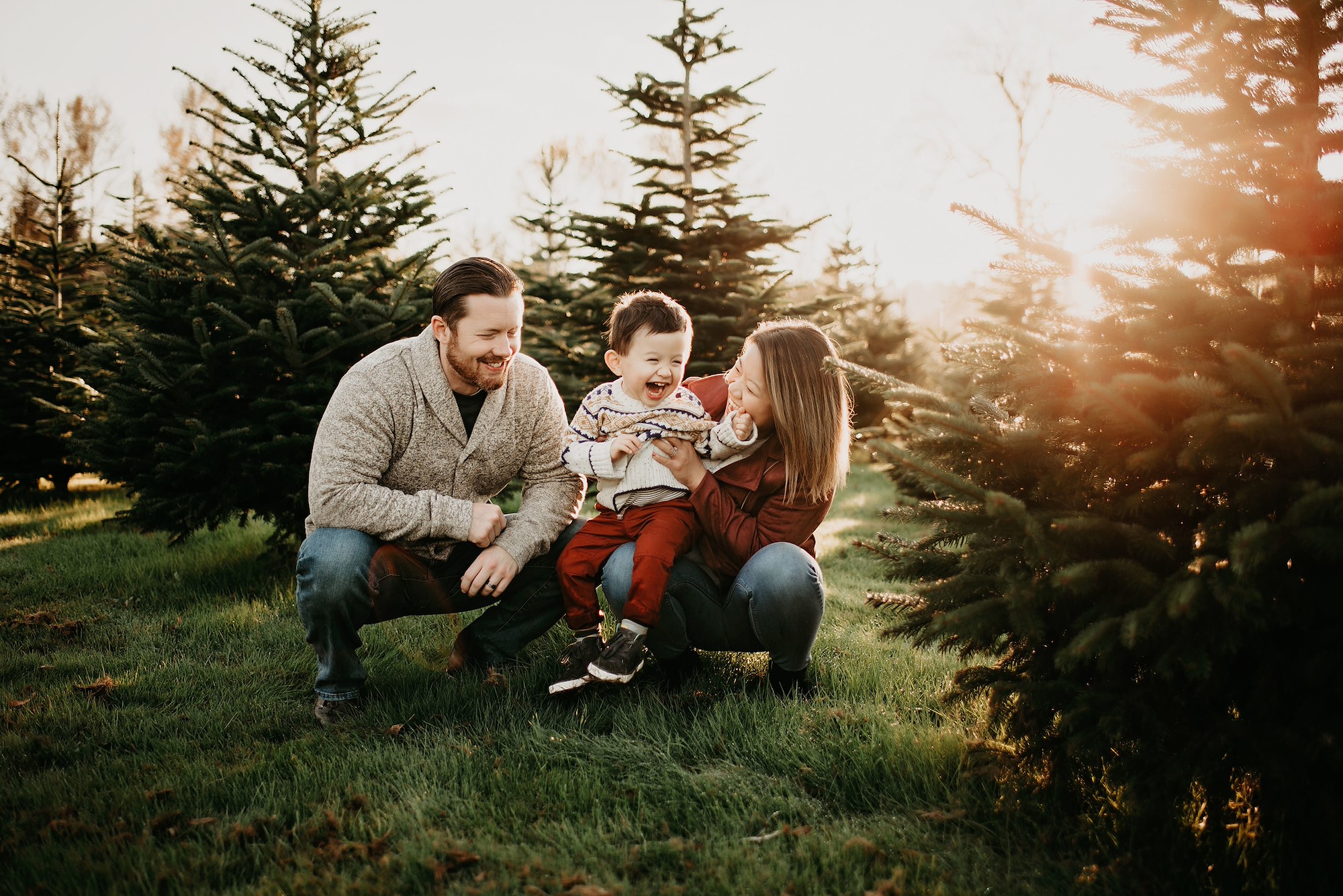 Tree Farm Mini Sessions